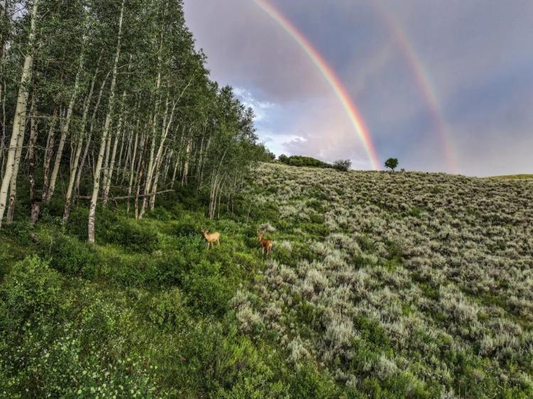 Ault Creek Ranch