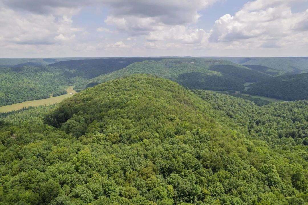 Jane Point – 380+/- Acres on the Cumberland Plateau | Fentress County, TN