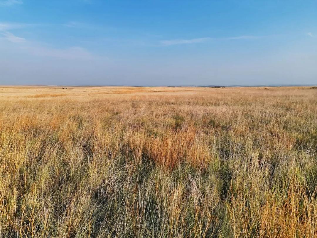 CRP Quarter Section with Mostly Level Class 3e Soils