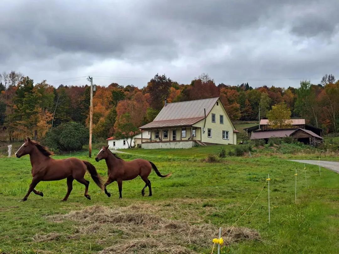 Crane Mountain Horse Farm