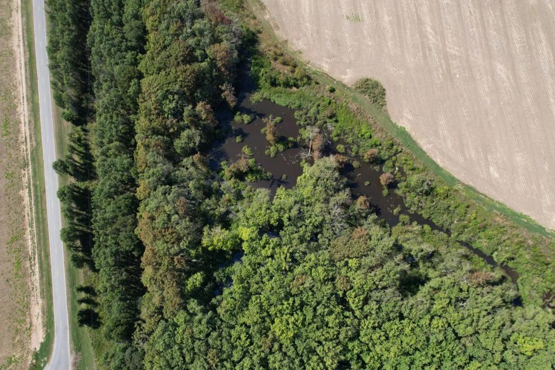 41 Acres in Leflore County, MS 