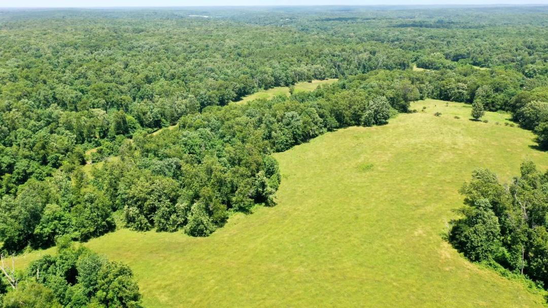 Wooded Hunting Land in Salem, MO with Food Plots + Pond