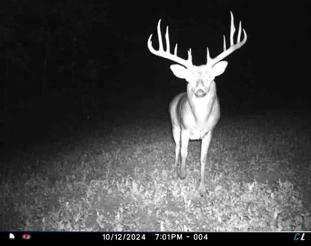 45.5± Acres of Prime Deer Habitat and CRP Income – Edgard County