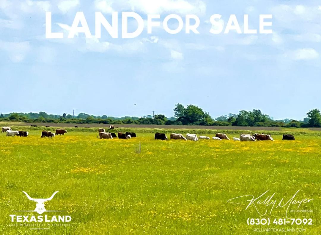 11 Cleared Acres | Huge Views