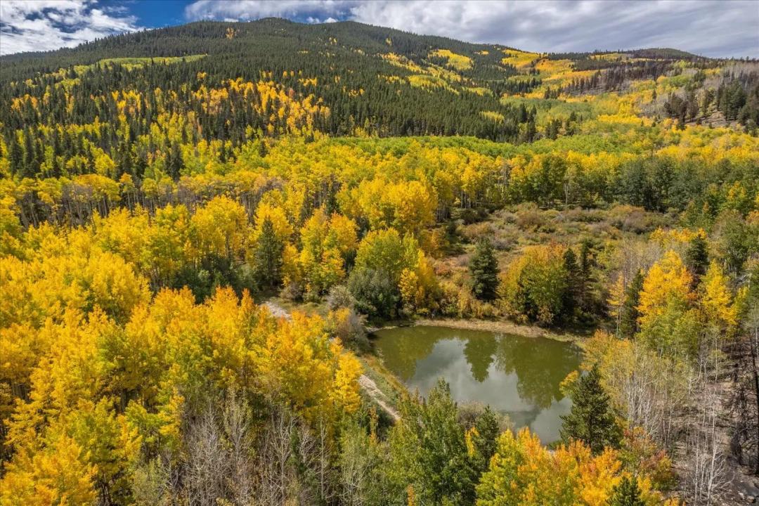 329-Acre Hunting Ranch in Twin Lakes, Colorado for Sale