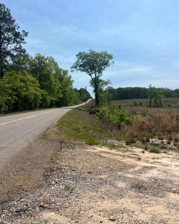 64 Acre Timberland Hunting Property Jackson Parish North LA