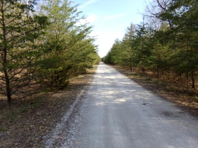 Lot #2 Cory Staunton Road
