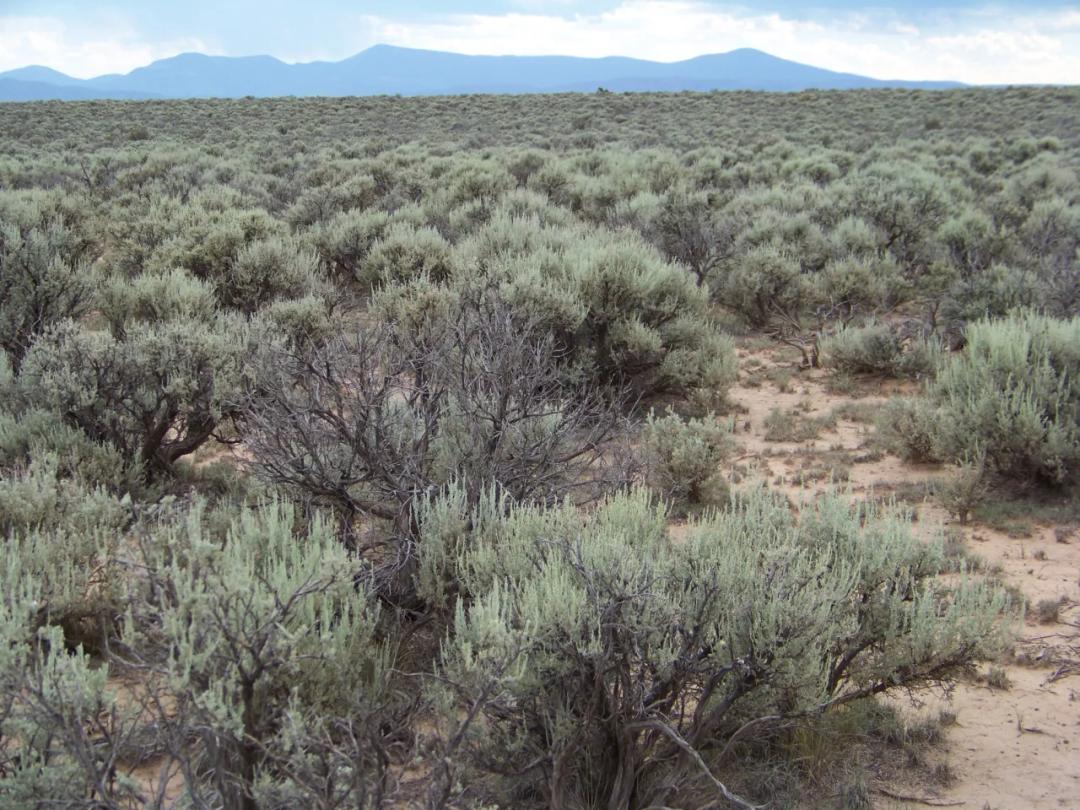 Mesa Hills on Black Mesa near BLM lands and wide open spaces