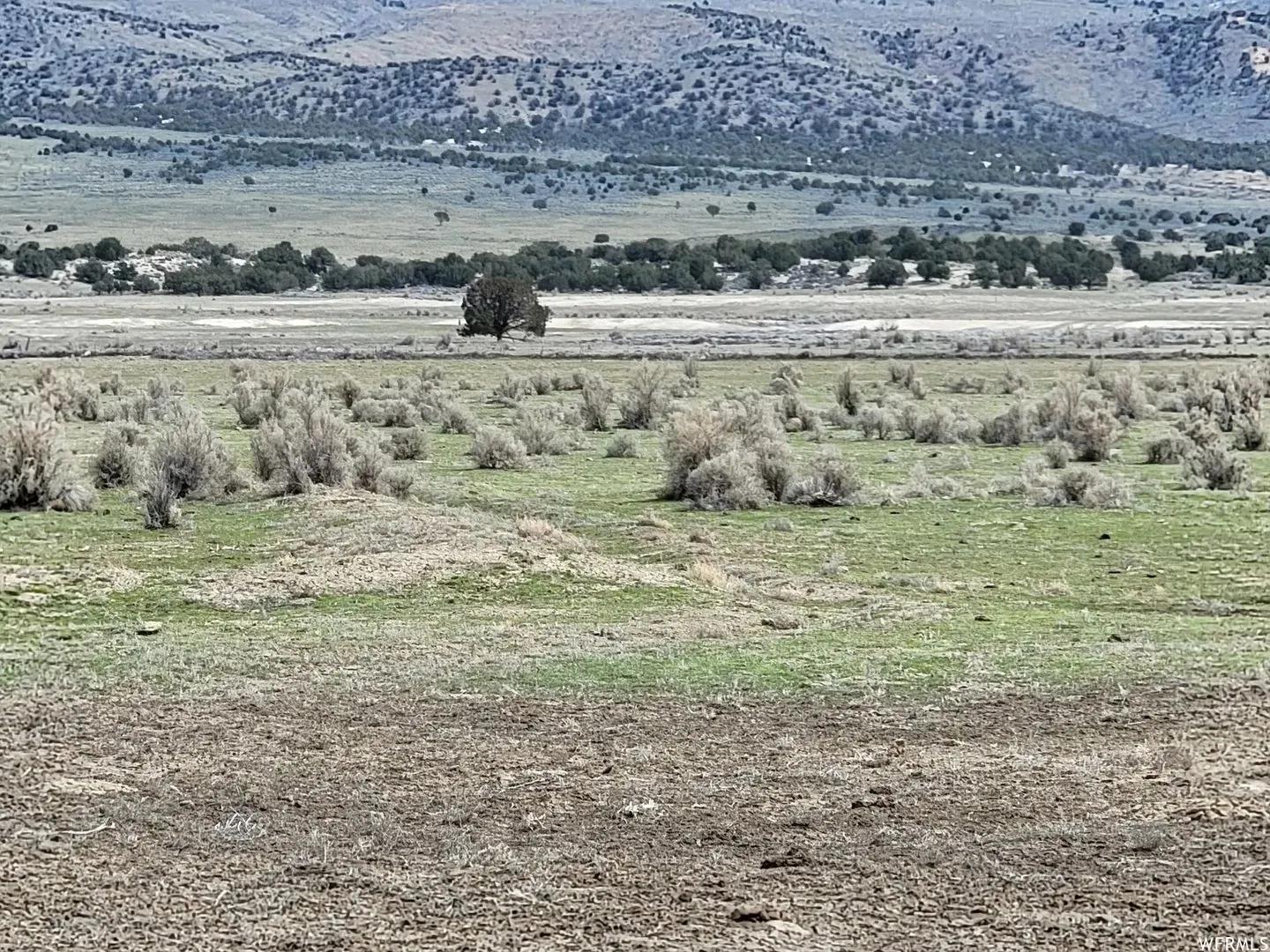 76547289-19