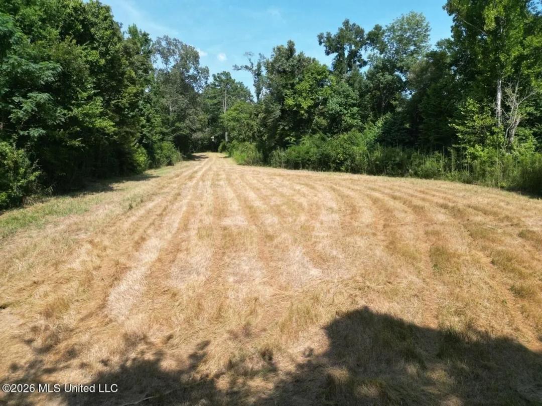 375± Acres in Jefferson County, MS Near Natchez Trace
