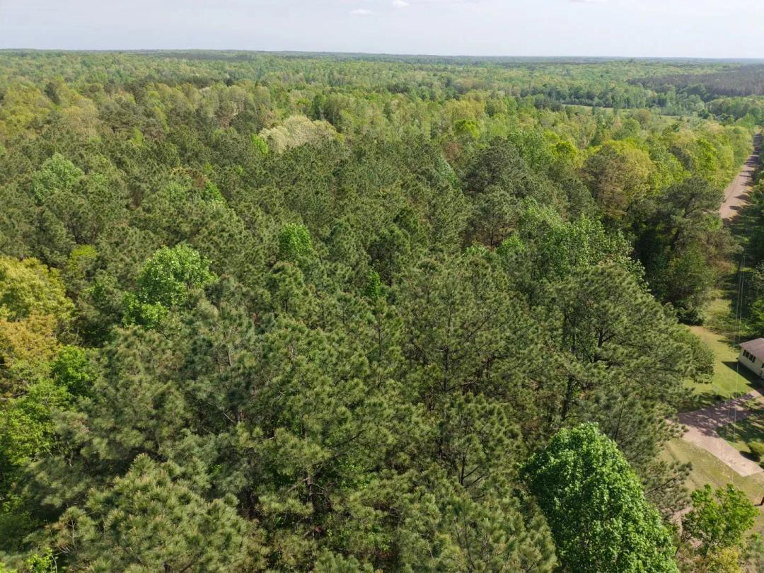 49.05 Acres in Hardeman County, TN 