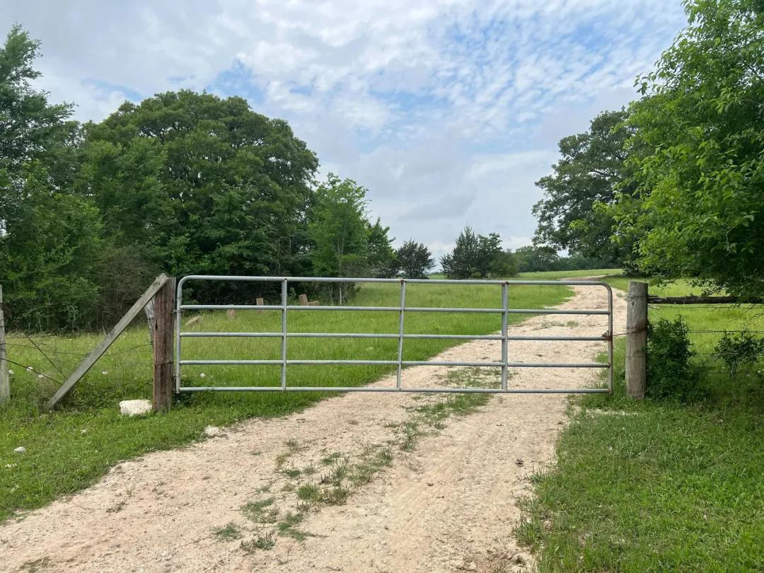Prime 50-Acre Pastureland in Anderson, Texas
