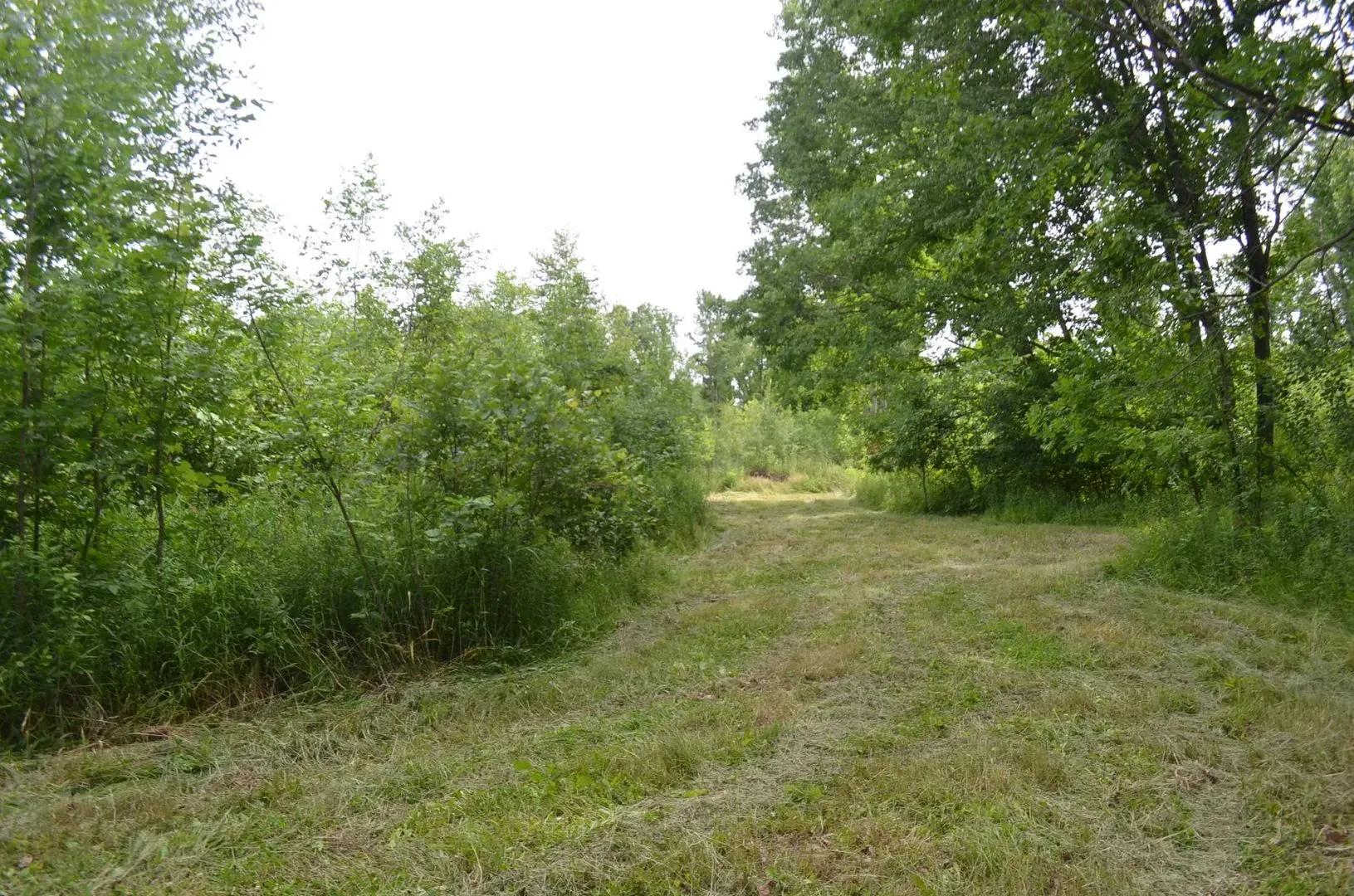 76578549-11