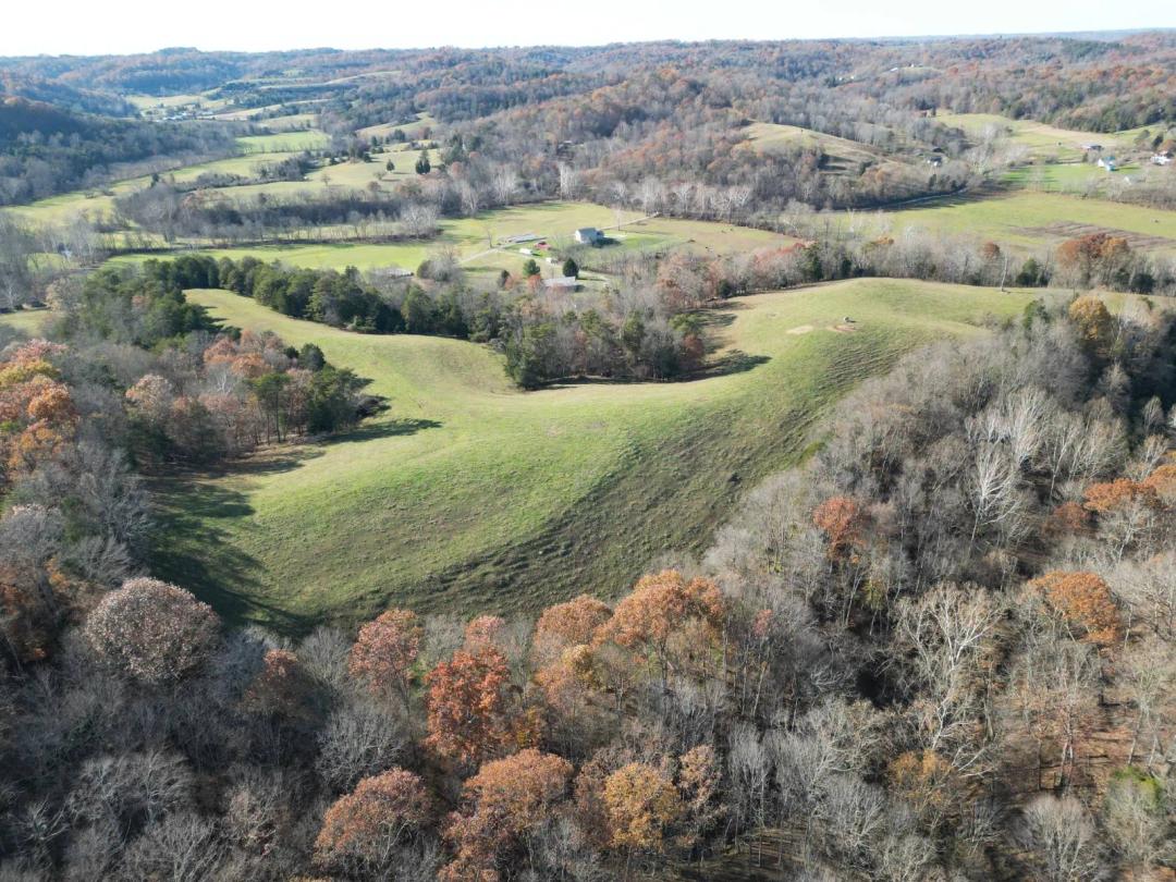 000 Cow Run Road, Cottageville, WV 25239 (142.17 +/- Acres)