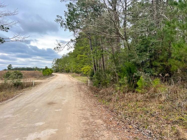 16 Acres | Paces Creek | T-3A