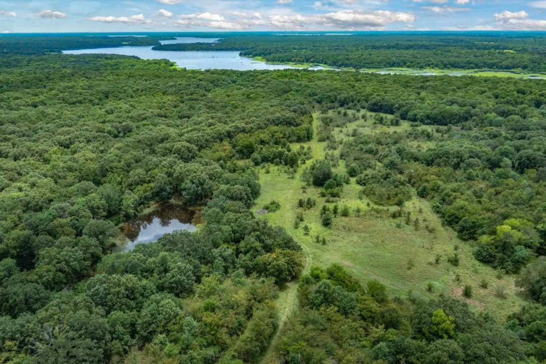 Rare Lakefront Recreational Land in Yantis, Texas for Sale - 788 Acres of Untouched Freedom