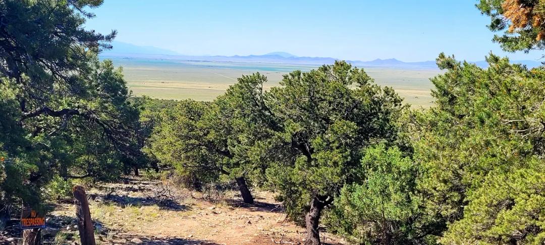 Heavily Treed  * 5 acres * Going up the Mountain Southern Colorado