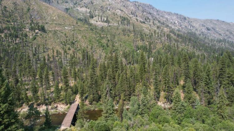 Yellow Pine Acreage