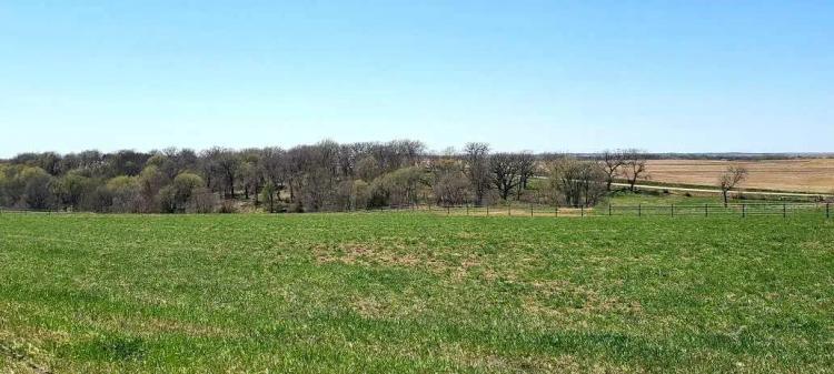 Chapel Hill Estates - Lot 4