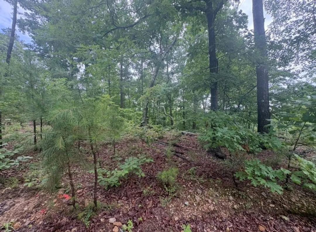 80±AC of Premier Hunting Ground in Reynolds Co.