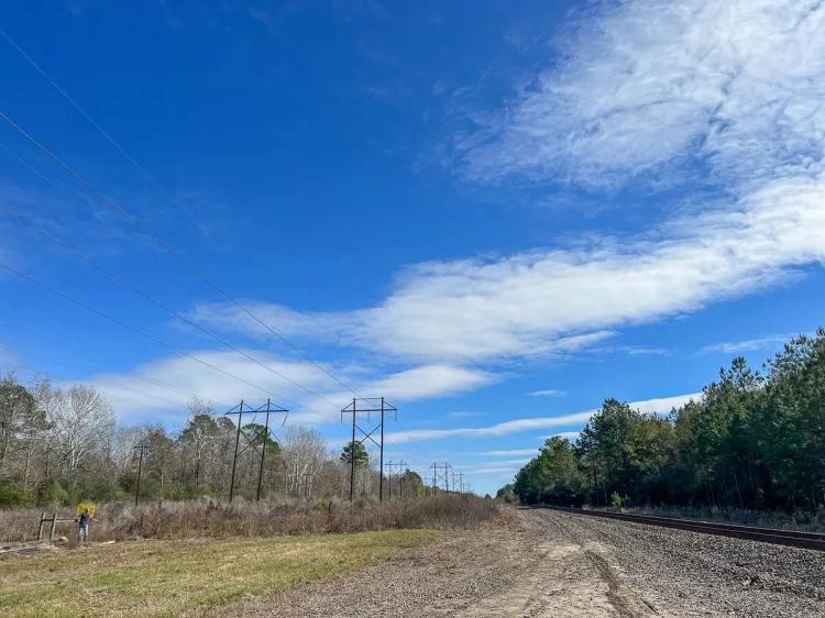 8.6 Acres | Joe Allen Road