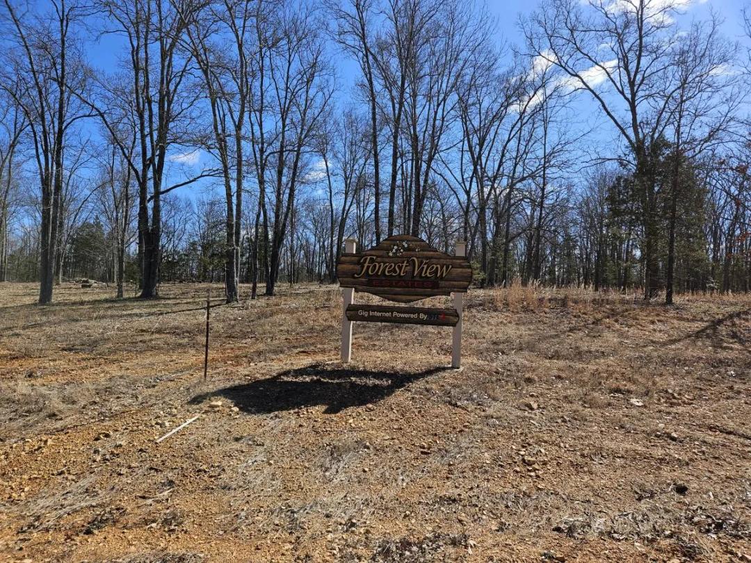 1.38 Acres at 0 Skyline Dr