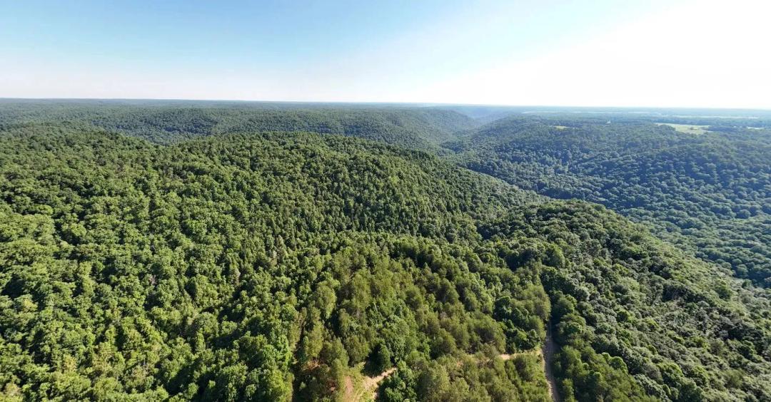 East Fork Obey River Land Tract 1