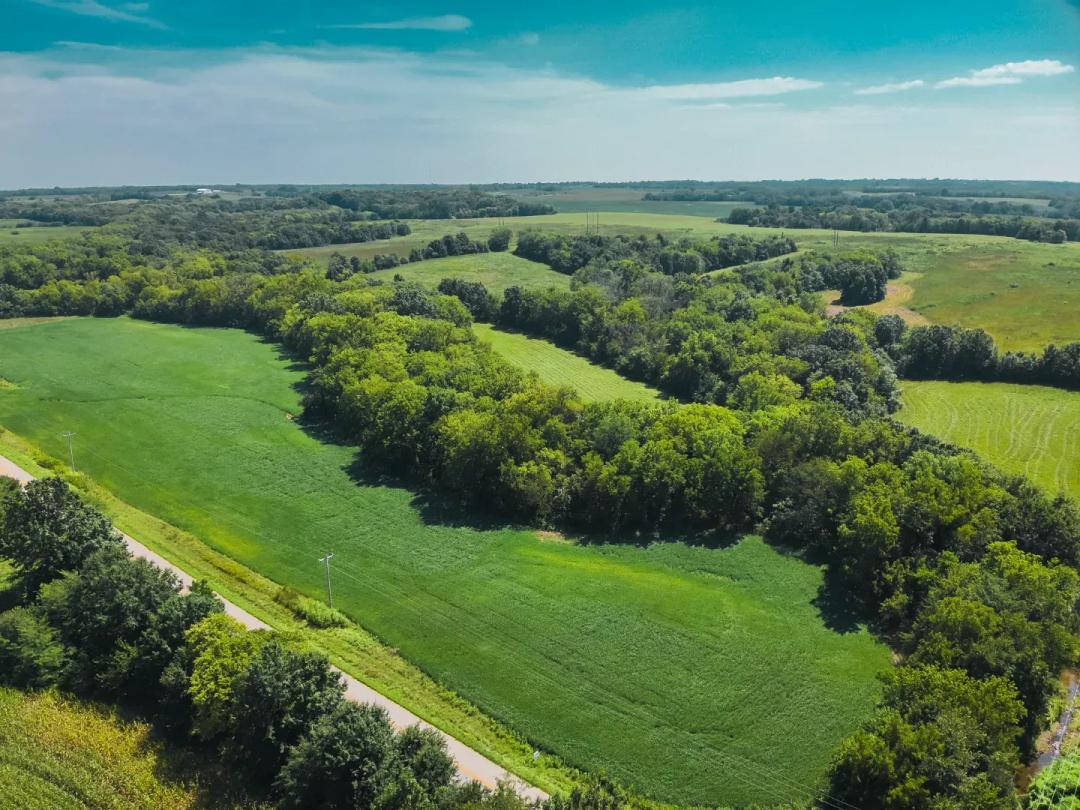 19± Acres of Land for Sale in Daviess County, Missouri