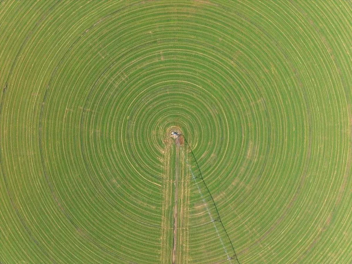 76767234-6
