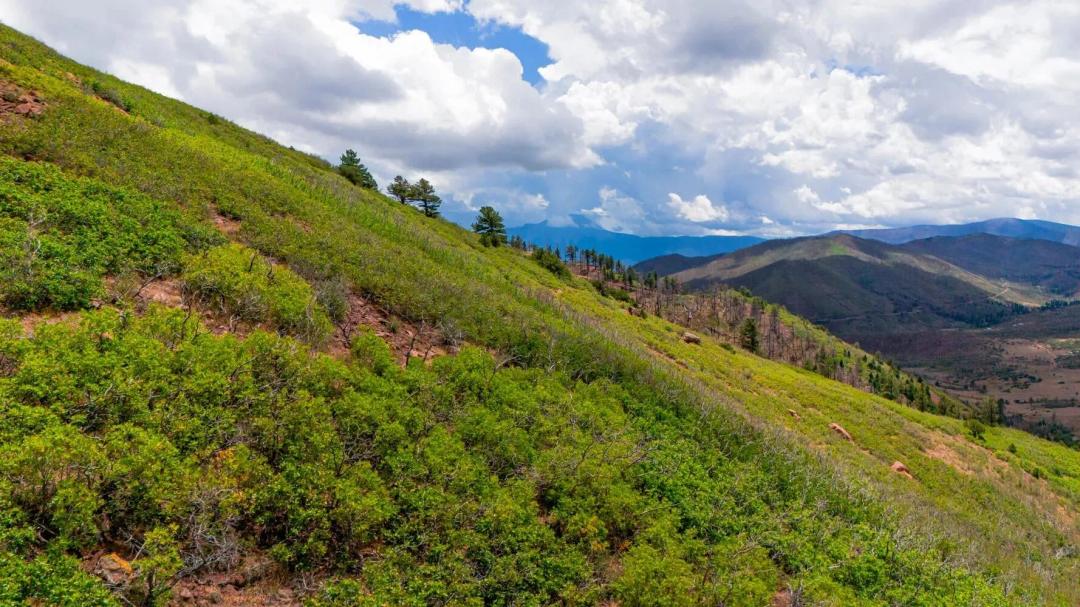 Lot 10 La Veta Acres, La Veta, CO 81055