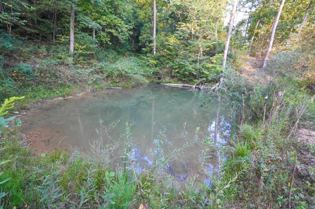 4.12+/- Acres Buildable Hunting Land in Webster County