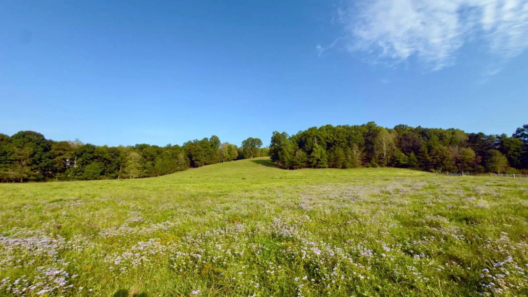 Potential Country Homestead Property with Dream Build Site