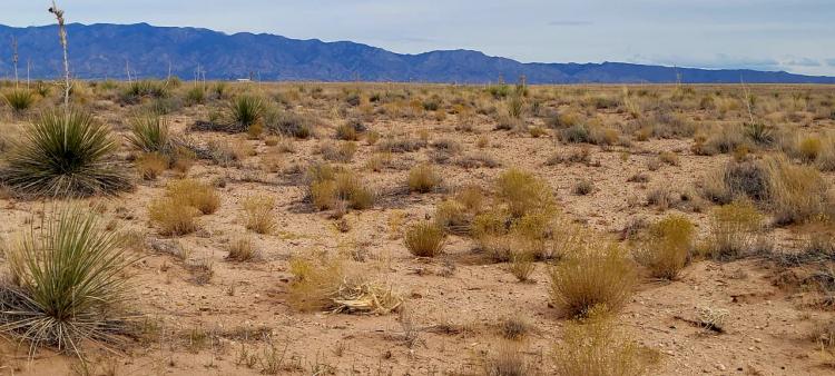 2 adjoining 1 acre Lots - Wide open spaces - High New Mexico Desert