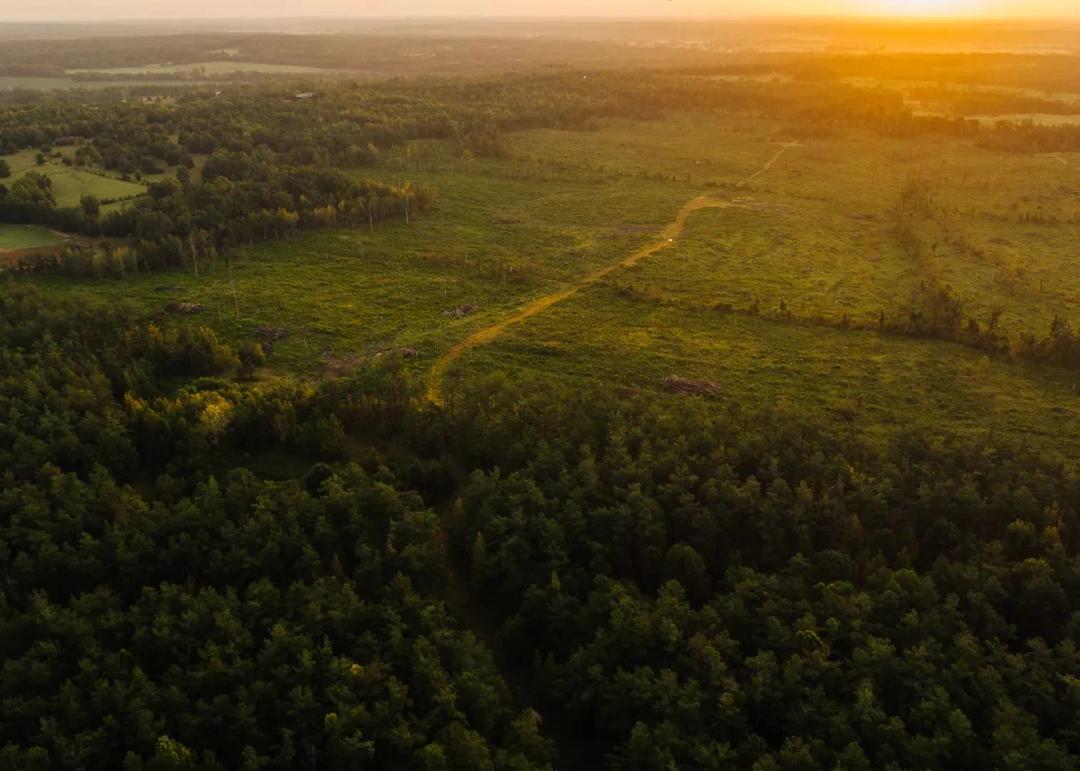 510 Acres in Carroll County, MS 