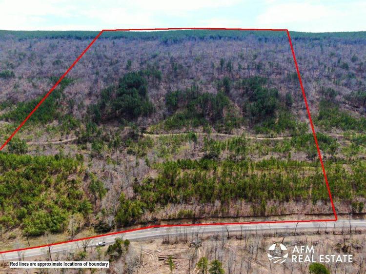 86.60 Acres at lot 6 State Highway 144