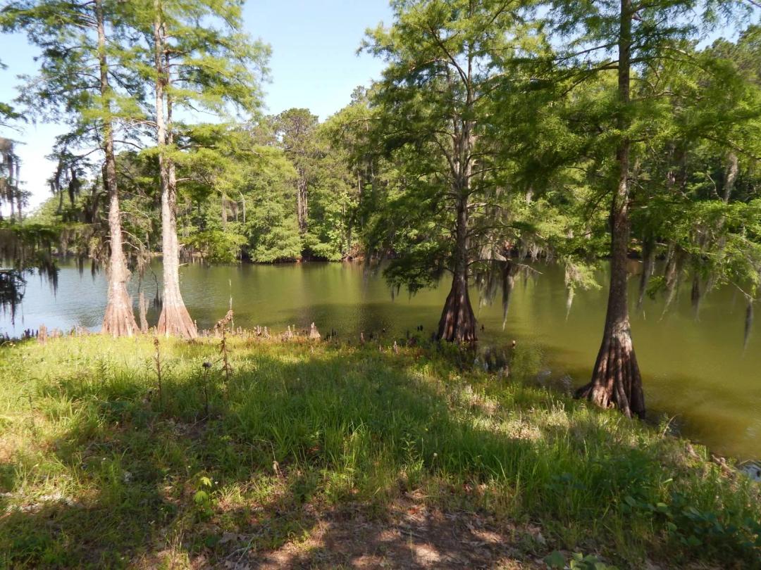 Waterfront Lot in the Villages of Cypress Bend!