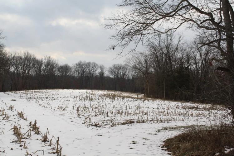 161 +/- Acres Fulton County