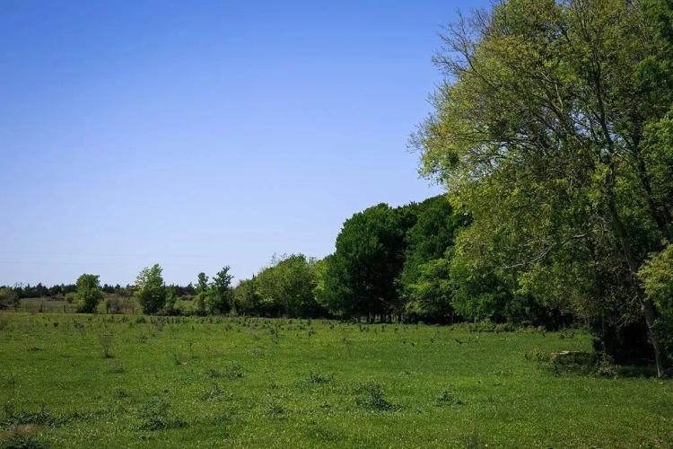 Tr 7 Caney Creek Rd Chappell Hill TX
