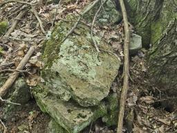 76950964-8