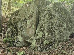 76950964-9