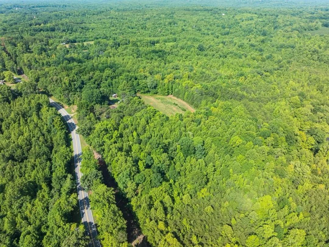 +/-49.36 Acres of Prime Country Homesite & Recreational Retreat for Sale in Caswell County, NC!