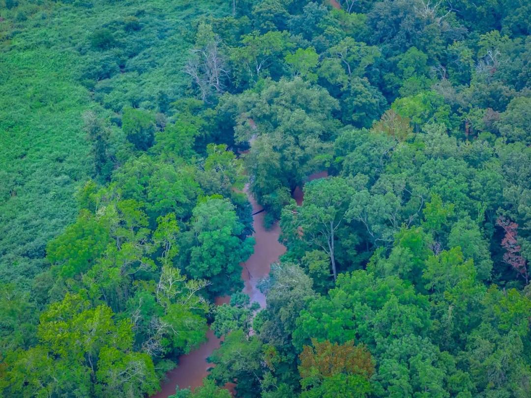 The Fishing Creek Tract