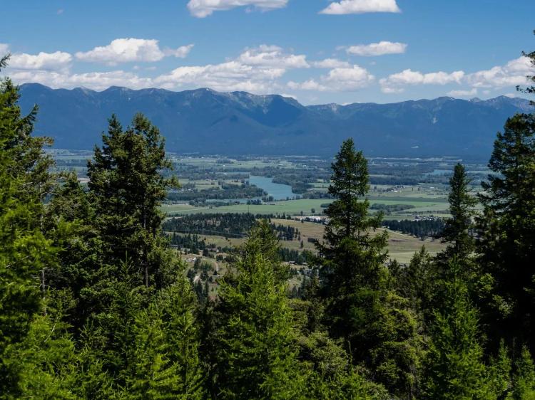 Wapiti Hills Trail