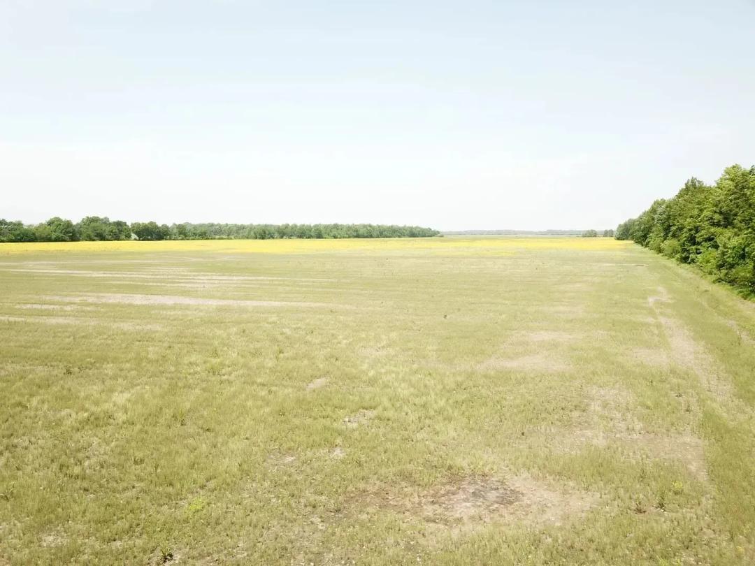 000 County Road 275E Keenes IL 40 acres