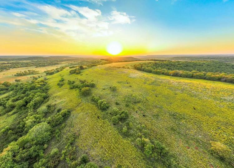 768+/- Acres in Washington County
