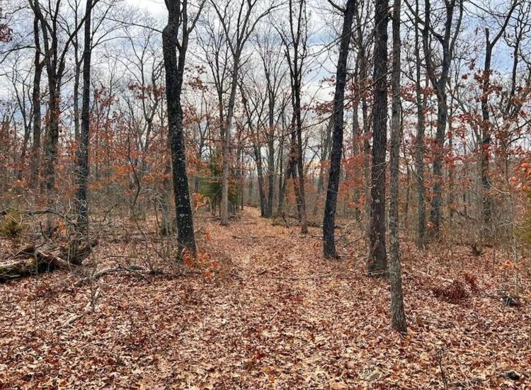 Smaller Timbered Tract With Proven Hunting Near Truman Lake In W. Central MO