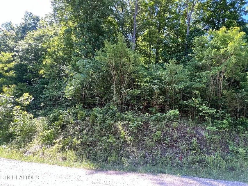 5.01 Acres at 0 Apache Rd