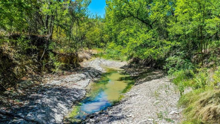 TBD State Hwy 6, Dublin, Texas 76446