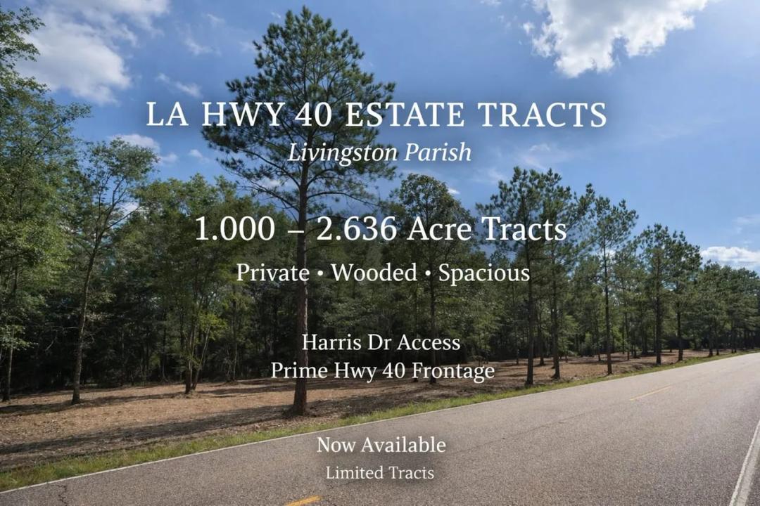 Partially Cleared Residential Lot 3