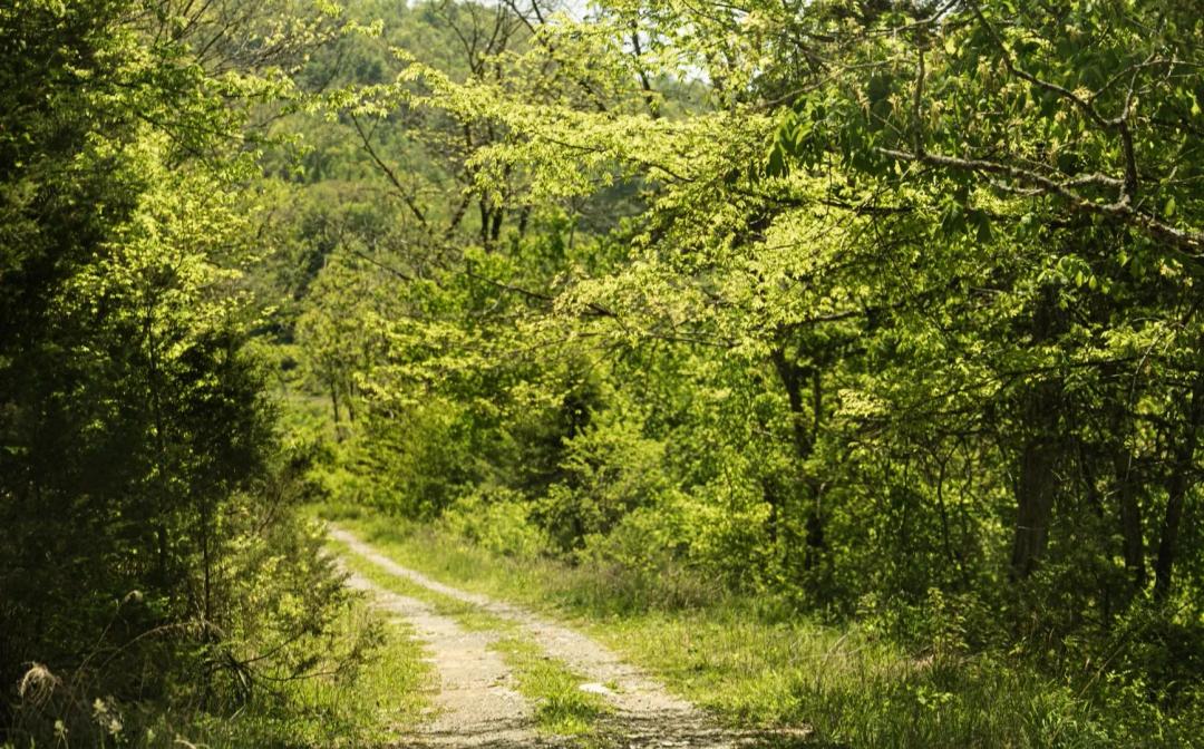 1,500 Acres in Claiborne/Hancock Counties, TN 